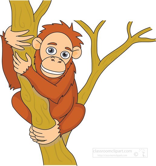 baby orangutan holding on tree trunk clipart