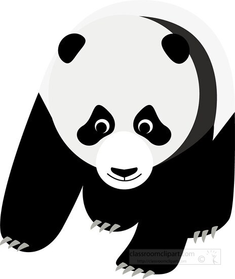 baby panda bear on all fours clipart