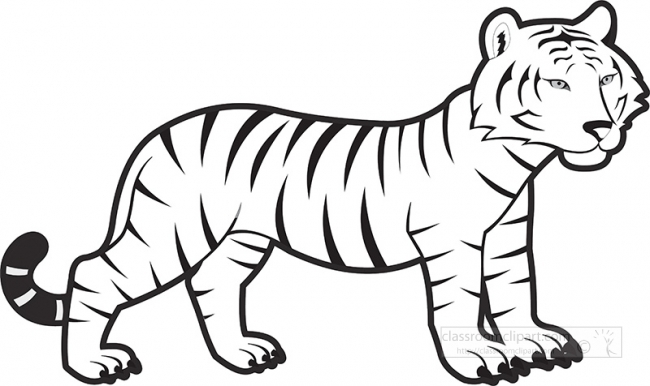 baby-bengal-tiger-black white outline gray color