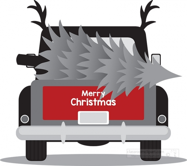 back of old truck with christmas tree gray color 2a