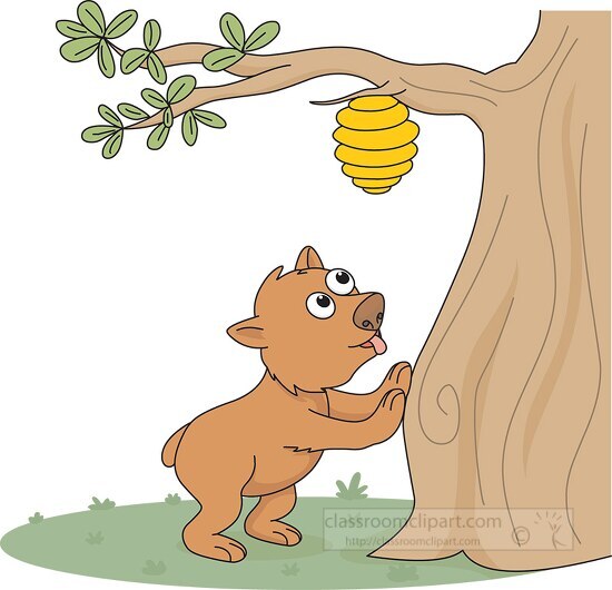 bear looking for honey on tree