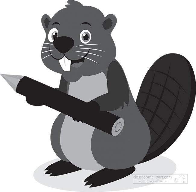 beaver holding pencil looking twig gray color