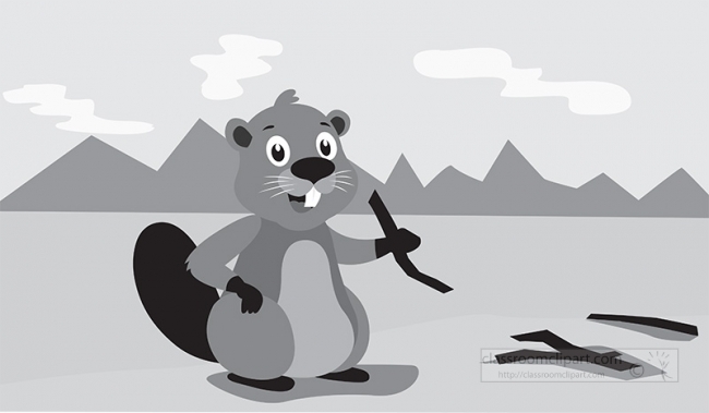 beaver sitting on river edge holding twig vector gray color