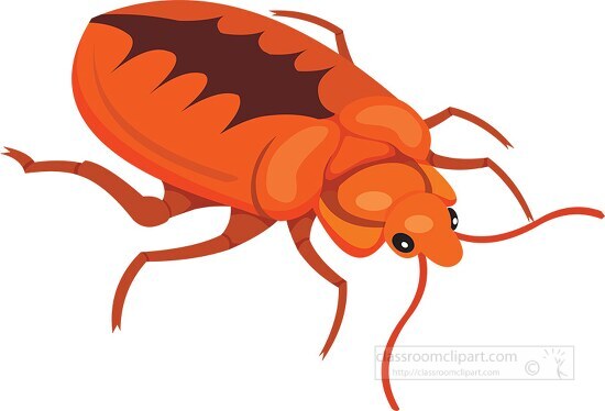 bed bug insect clipart