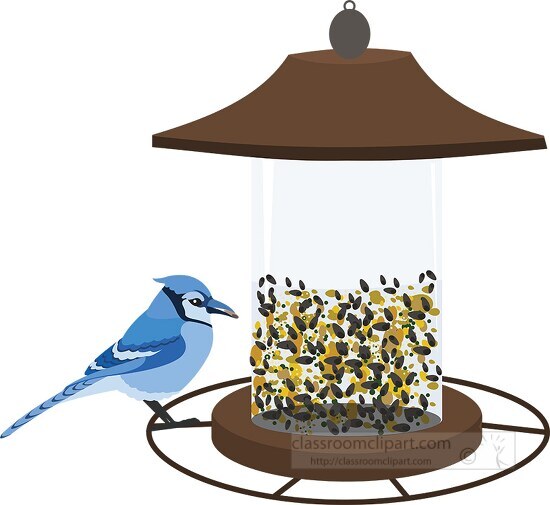 bird feeder with blue jay clipart 2