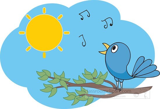 bird singing in the morning sun