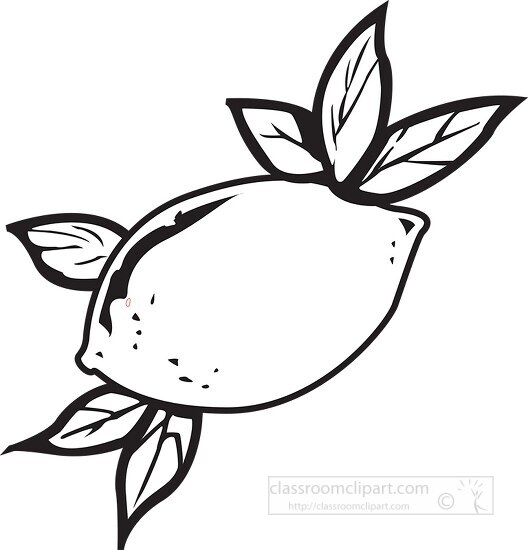 leaf black and white clipart outline