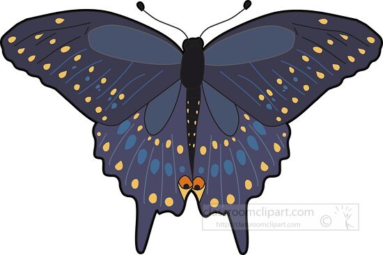 black swallowtail butterfy clipart
