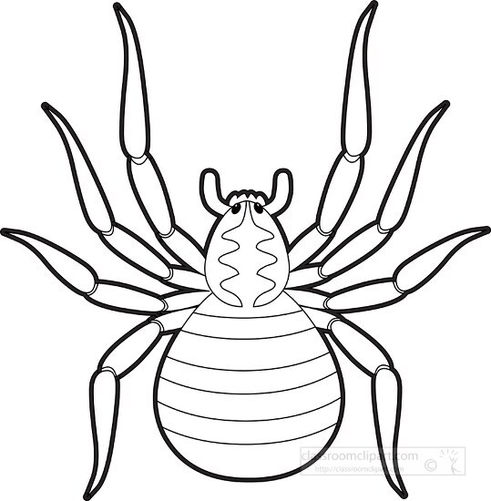 black white outline clipart of brown spider