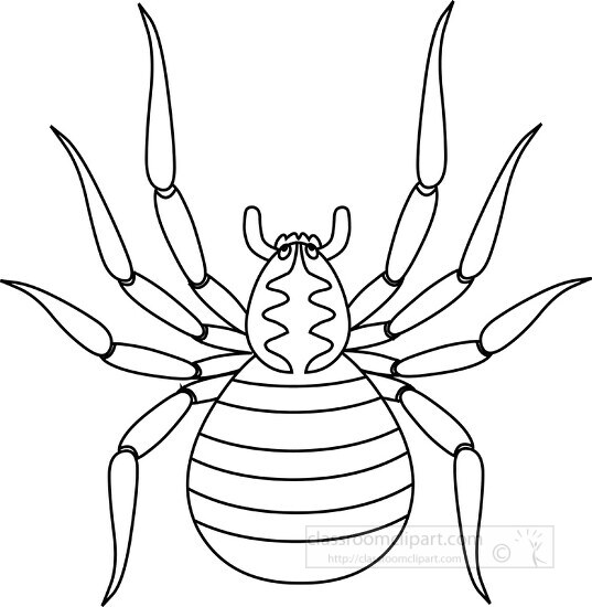 black white outline clipart of brown spider 718