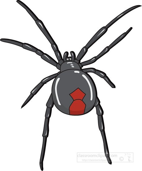 black widow spider 730