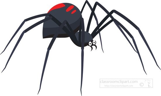 black widow spider insect clipart
