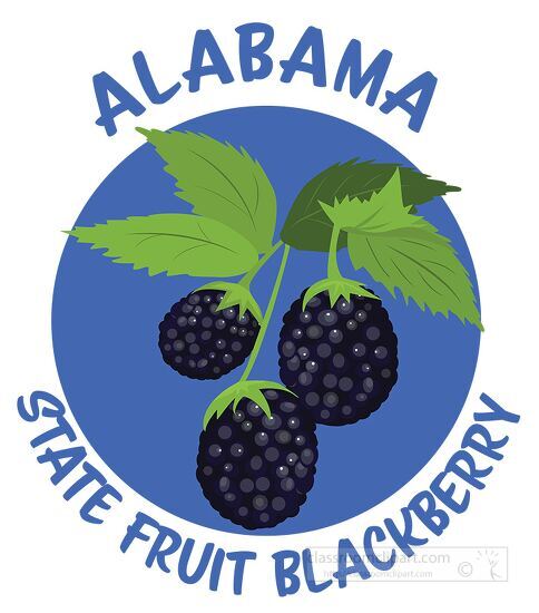 blackberry state fruit alabama clipart