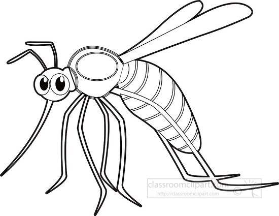 blood sucking mosquito insect black white outline clipart