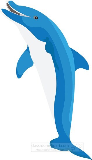 blue dolphin vector clipart