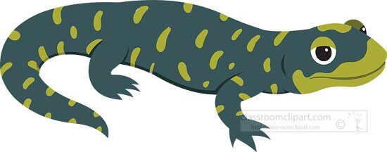blue green amphibian salamander clipart