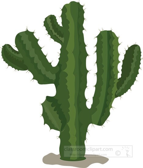 blue myrtle cactus myrtillocactus clipart
