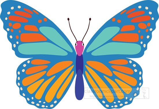 blue orange colorful butterfly clipart