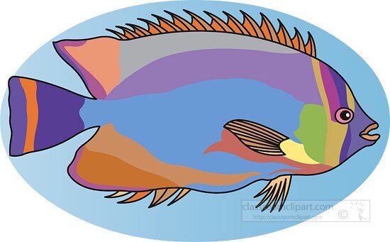brightly colored fish 15