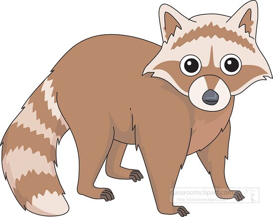 brown raccoon animal clipart