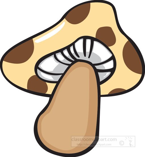 brown yellow cartoon style mushroom clipart