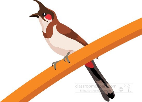 bulbul bird open beak clipart