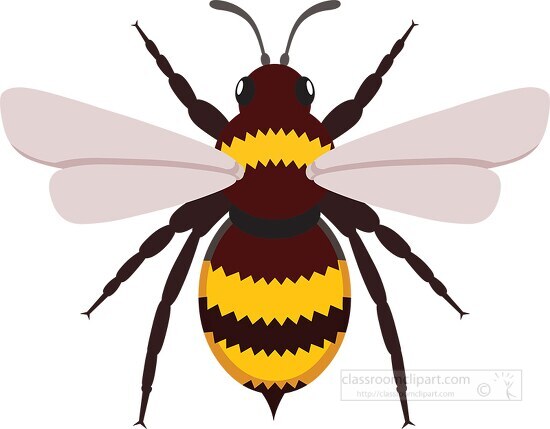 bumblebee insect clipart illustration 6818