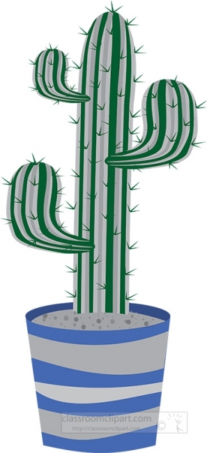 cactus in a colorful ceramic planter pot gray color