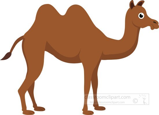 camel cute cartoon style clipart