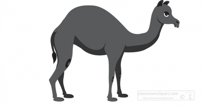 camel gray color 2