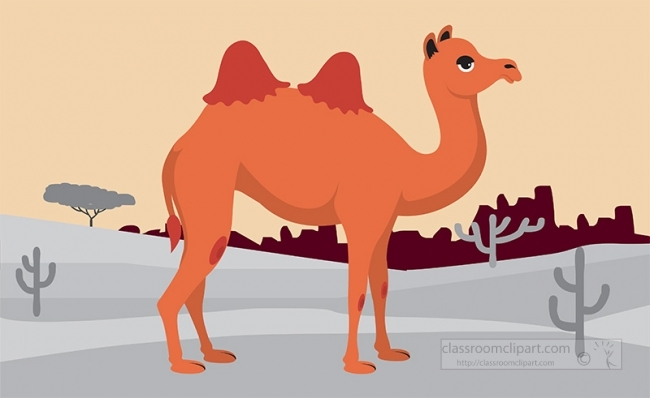 camel gray color