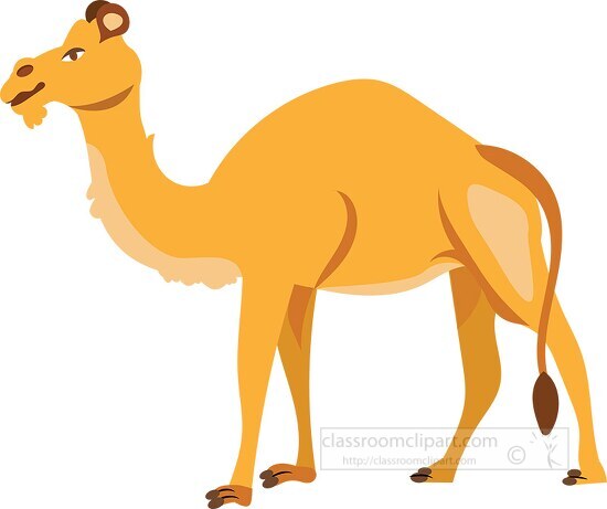 camel standing on all fours illustration clipart