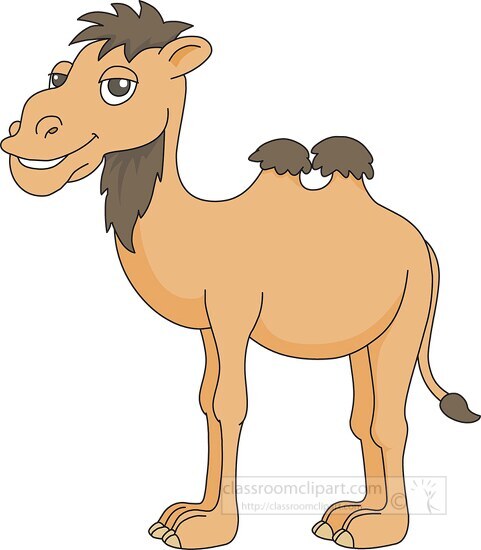 cartoon style animal camel clipart