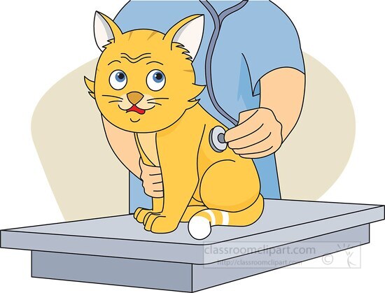 cat at with vetinarian clipart