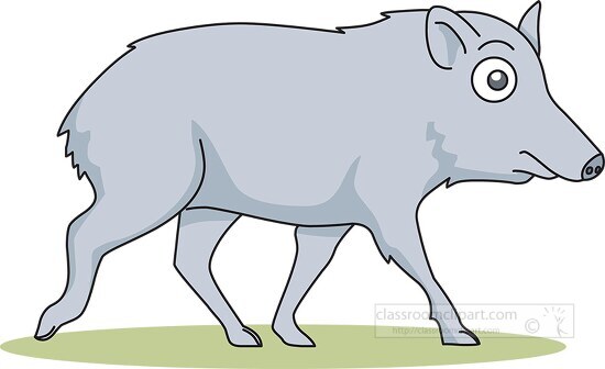 chacoan peccary animal clipart