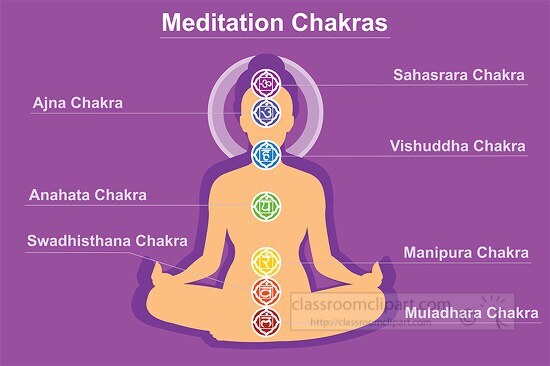 chakra meditation system chart with Seven chakra centers vector 