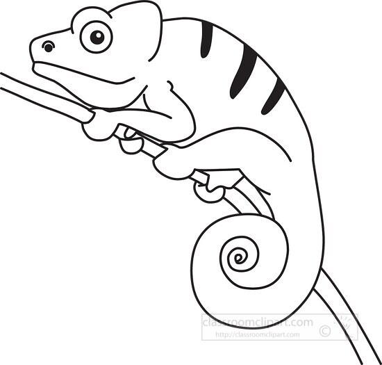 chameleon cartoon outline