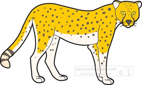 Cheetah Clipart-cheetah standing side view clipart