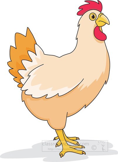 chicken farm animal clipart