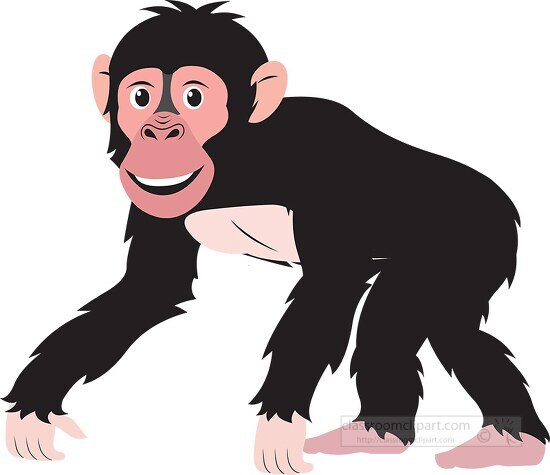 chimpanzee on all fours side view vectorgray color