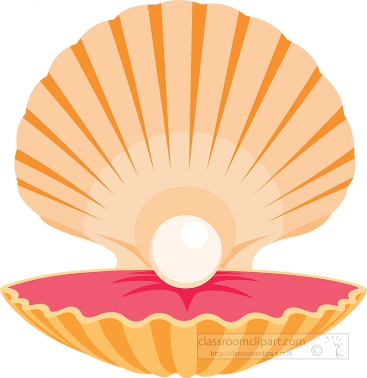 clam shell clipart