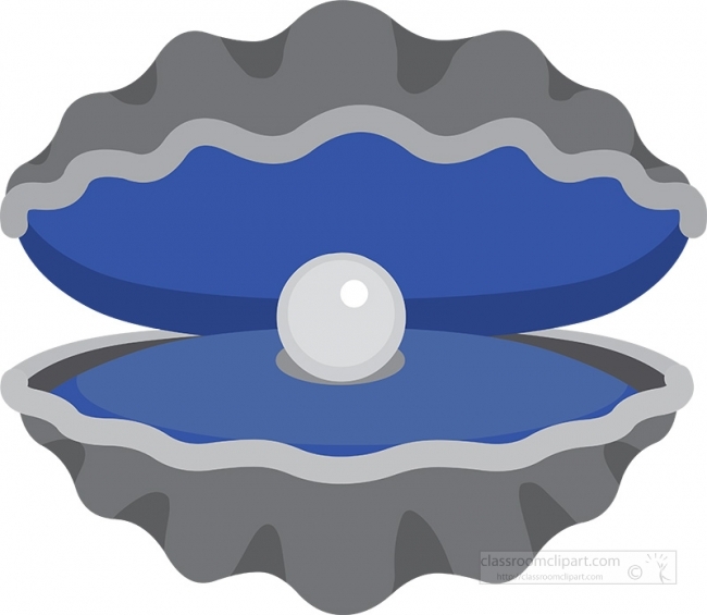 clam shell marine animal gray color clipart