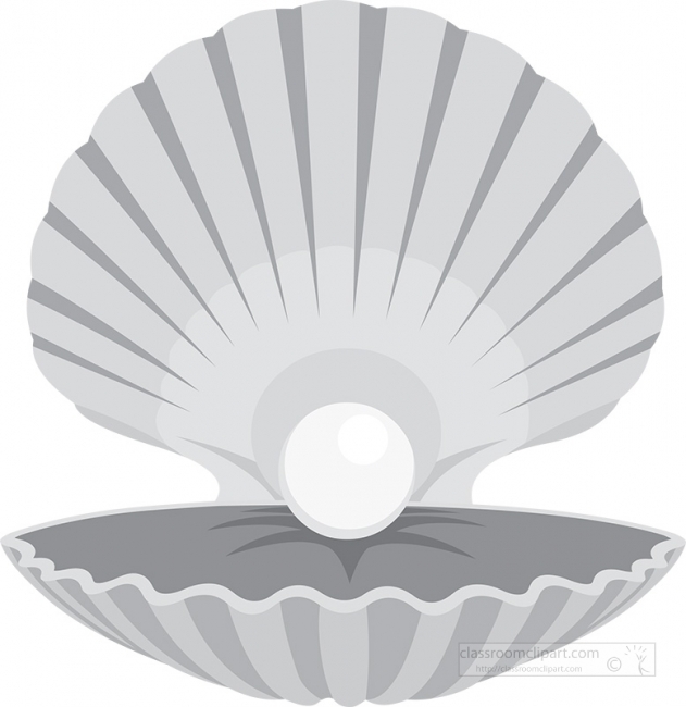 clam-shell-gray color