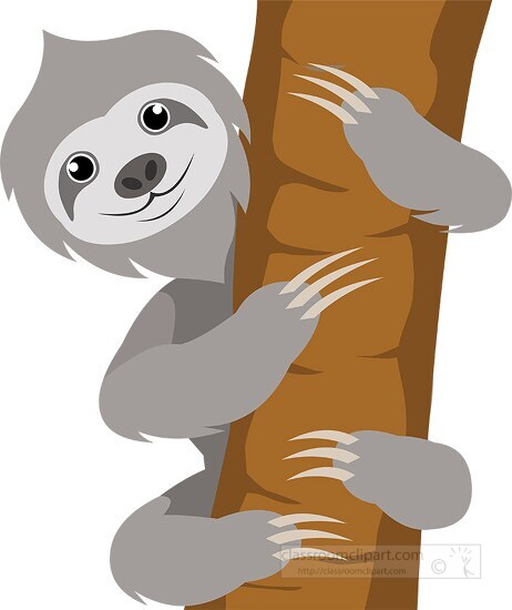 clipart sloth hanging on tree branch