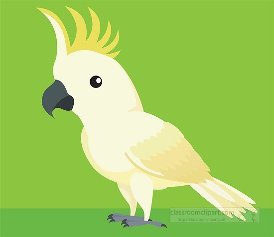 cockatoo bird clipart