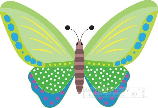 colorful spotted green blue butterfly vector clipart