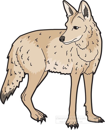 howling coyote clipart