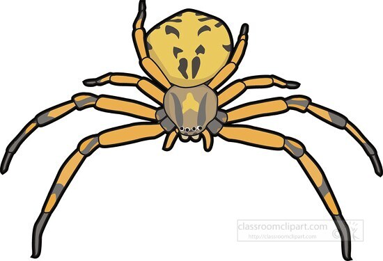 crab spider clipart