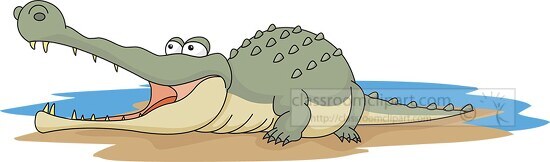crocodile at shore pond enjoying sunlight clipart