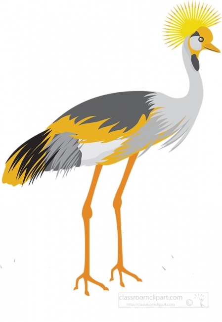 crown-crested-crane-burundi gray color
